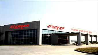 樂清市柳市顯群電器廠 技術開發驅動，引領電器行業創新